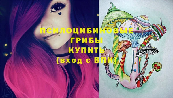 спиды Дмитровск