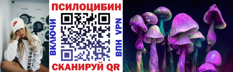 Купить  Судак  Галлюциногенные грибы мухоморы 