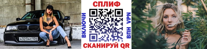 Шишки марихуана план  Купить закладки  Судак 